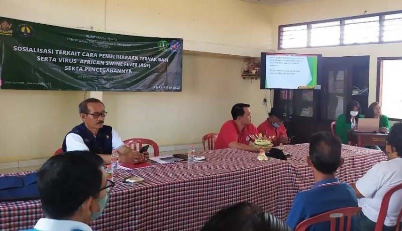 Desa Kukuh Ajak Warga Ternak Babi